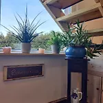 Malu Sol Im Harz - Stilvoll, Gemuetlich, Tierfreundlich - Mit Garten Apartamento