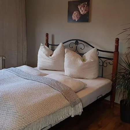 Appartement Malu Sol Im Harz - Stilvoll, Gemuetlich, Tierfreundlich - Mit Garten