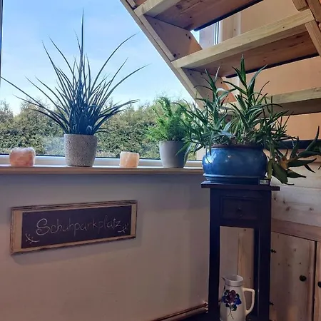 Malu Sol Im Harz - Stilvoll, Gemuetlich, Tierfreundlich - Mit Garten Appartement