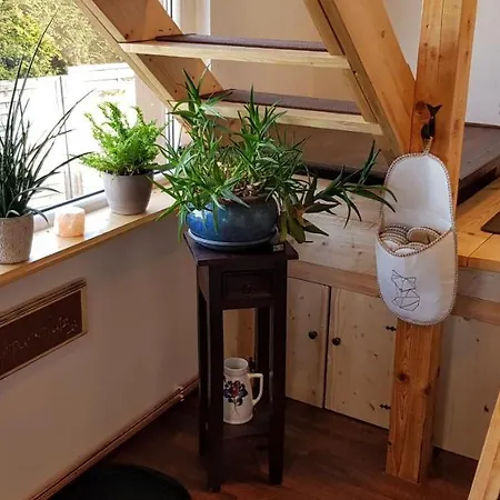 Malu Sol Im Harz - Stilvoll, Gemuetlich, Tierfreundlich - Mit Garten Allrode