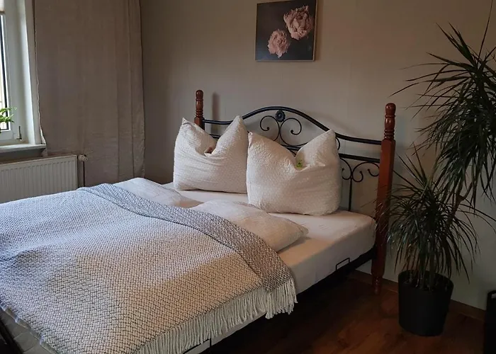 Apartman Malu Sol Im Harz - Stilvoll, Gemuetlich, Tierfreundlich - Mit Garten