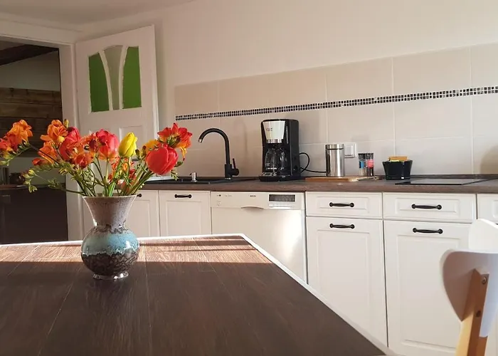 Apartman Malu Sol Im Harz - Stilvoll, Gemuetlich, Tierfreundlich - Mit Garten *