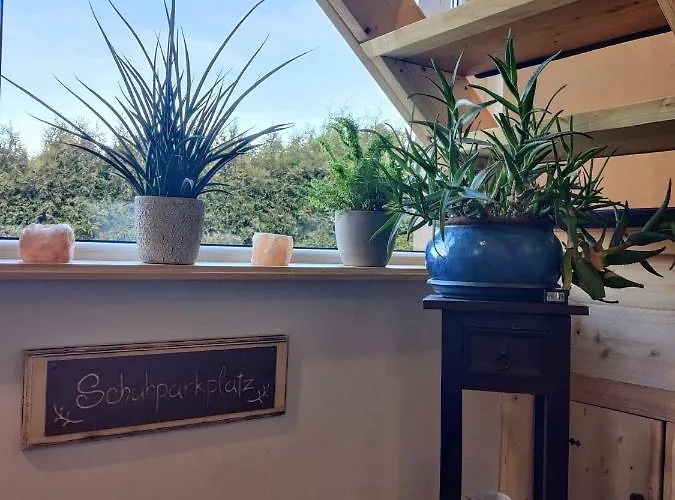 Malu Sol Im Harz - Stilvoll, Gemuetlich, Tierfreundlich - Mit Garten Apartman