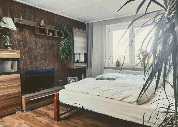 Malu Sol Im Harz - Stilvoll, Gemuetlich, Tierfreundlich - Mit Garten Apartman *