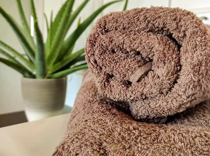 Malu Sol Im Harz - Stilvoll, Gemuetlich, Tierfreundlich - Mit Garten شقة ألروده