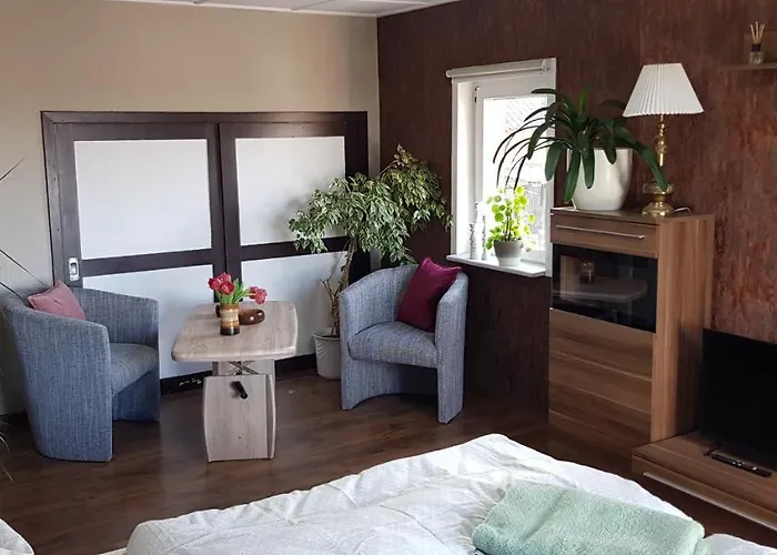 Apartman Malu Sol Im Harz - Stilvoll, Gemuetlich, Tierfreundlich - Mit Garten *