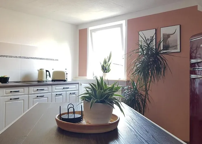 Malu Sol Im Harz - Stilvoll, Gemuetlich, Tierfreundlich - Mit Garten Apartman *